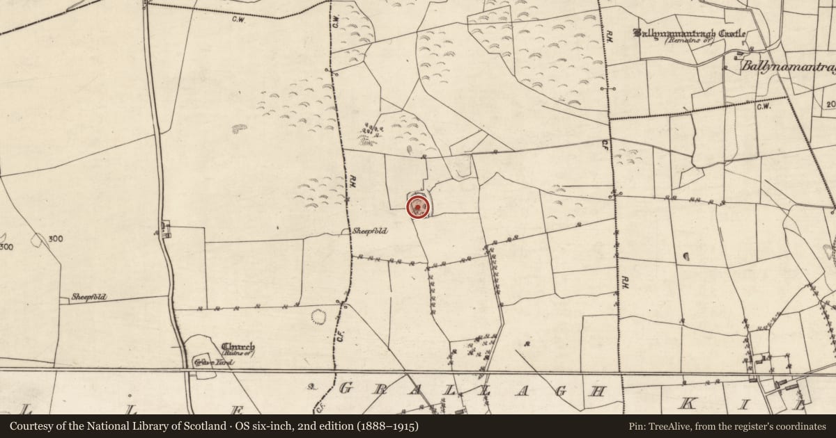 Ordnance Survey six-inch map, 2nd edition (1888–1915) covering the location of Ringfort - rath, Grallagh, County Galway, with a pin at the register's coordinates