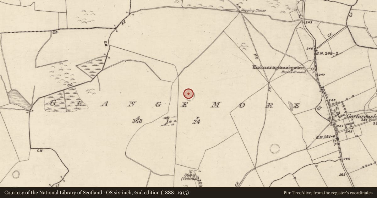 Ordnance Survey six-inch map, 2nd edition (1888–1915) covering the location of Ringfort - rath, Grange More, County Galway, with a pin at the register's coordinates