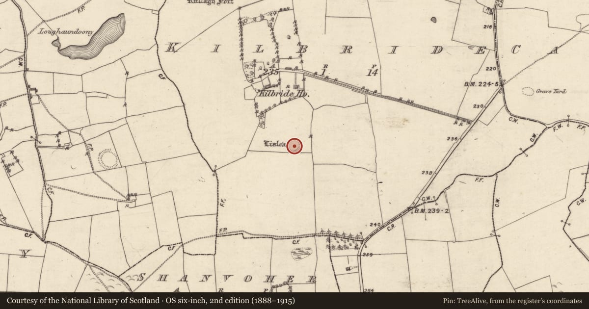 Ordnance Survey six-inch map, 2nd edition (1888–1915) covering the location of Ringfort - rath, Kilbride, County Galway, with a pin at the register's coordinates