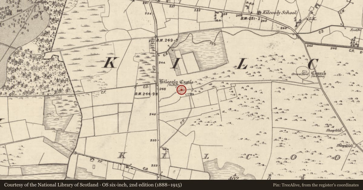 Ordnance Survey six-inch map, 2nd edition (1888–1915) covering the location of Castle - tower house, Kilcooly, County Galway, with a pin at the register's coordinates