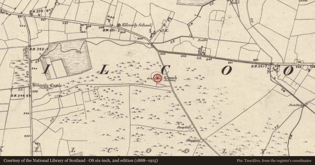 Ordnance Survey six-inch map, 2nd edition (1888–1915) covering the location of Graveyard, Kilcooly, County Galway, with a pin at the register's coordinates