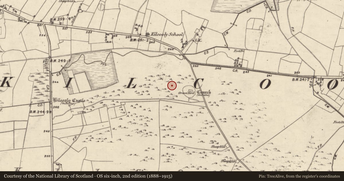 Ordnance Survey six-inch map, 2nd edition (1888–1915) covering the location of Settlement deserted - medieval, Kilcooly, County Galway, with a pin at the register's coordinates