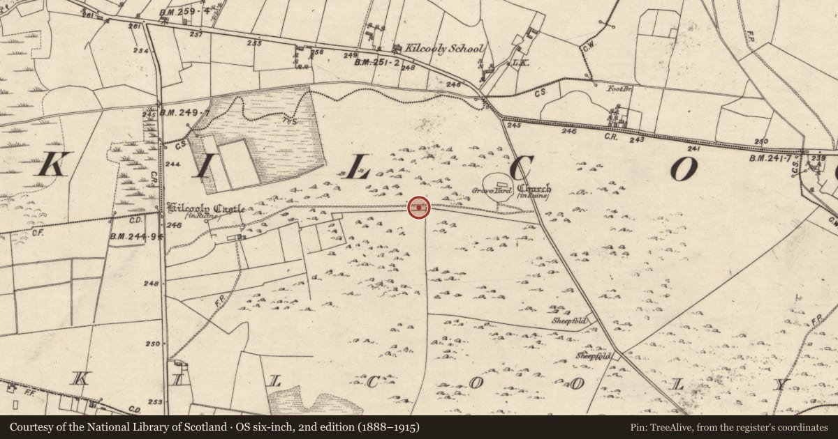 Ordnance Survey six-inch map, 2nd edition (1888–1915) covering the location of Road - road/trackway, Kilcooly, County Galway, with a pin at the register's coordinates
