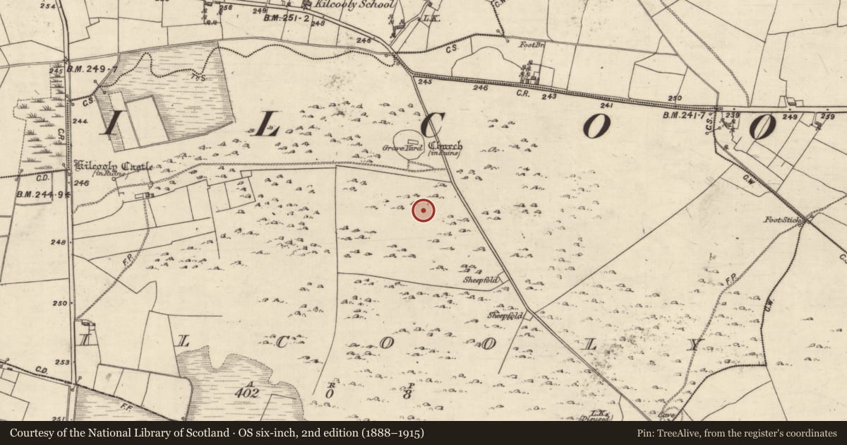Ordnance Survey six-inch map, 2nd edition (1888–1915) covering the location of Souterrain, Kilcooly, County Galway, with a pin at the register's coordinates