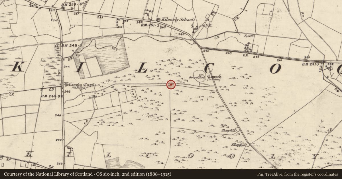 Ordnance Survey six-inch map, 2nd edition (1888–1915) covering the location of Field system, Kilcooly, County Galway, with a pin at the register's coordinates