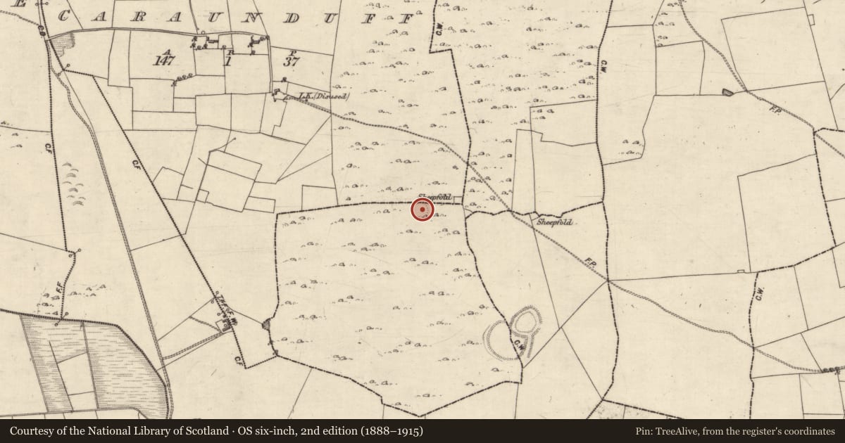 Ordnance Survey six-inch map, 2nd edition (1888–1915) covering the location of Ringfort - cashel, Kilcooly, County Galway, with a pin at the register's coordinates