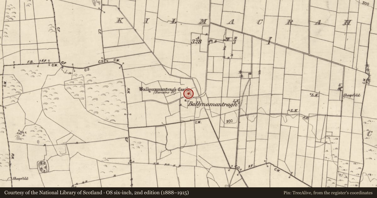 Ordnance Survey six-inch map, 2nd edition (1888–1915) covering the location of Castle - unclassified, Kilmacrah, County Galway, with a pin at the register's coordinates