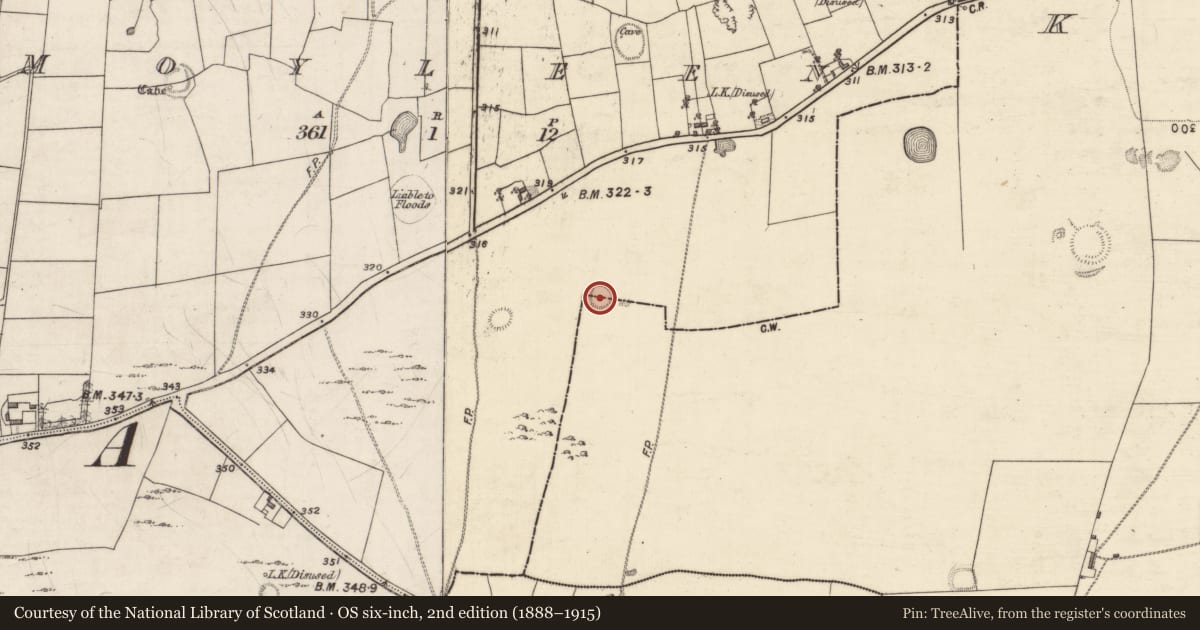 Ordnance Survey six-inch map, 2nd edition (1888–1915) covering the location of Ringfort - rath, Kilmeen, Moyleen, County Galway, with a pin at the register's coordinates