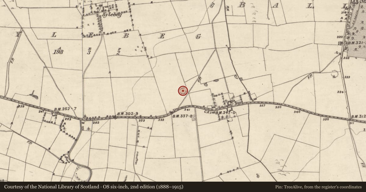 Ordnance Survey six-inch map, 2nd edition (1888–1915) covering the location of Ringfort - rath, Kylebeg, County Galway, with a pin at the register's coordinates