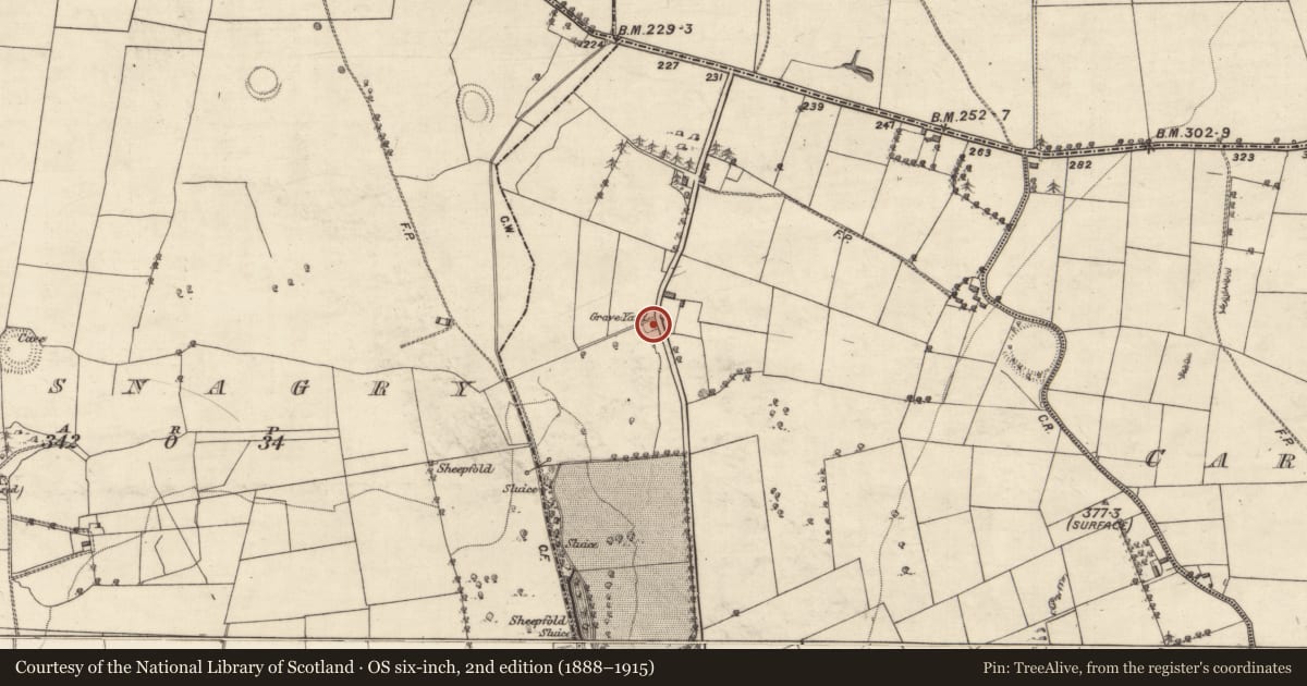 Ordnance Survey six-inch map, 2nd edition (1888–1915) covering the location of Children's burial ground, Limehill, County Galway, with a pin at the register's coordinates