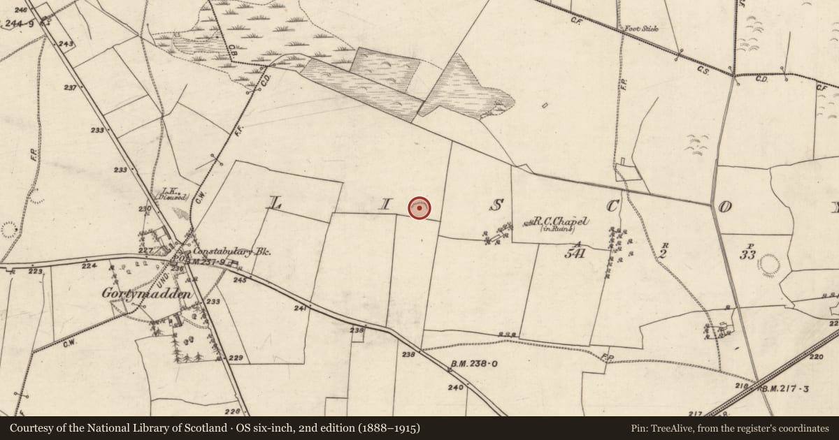 Ordnance Survey six-inch map, 2nd edition (1888–1915) covering the location of Ringfort - rath, Liscoyle, County Galway, with a pin at the register's coordinates