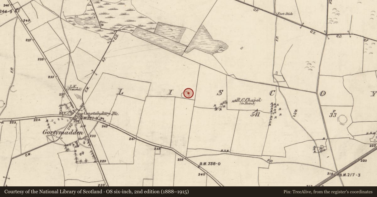 Ordnance Survey six-inch map, 2nd edition (1888–1915) covering the location of Field system, Liscoyle, County Galway, with a pin at the register's coordinates