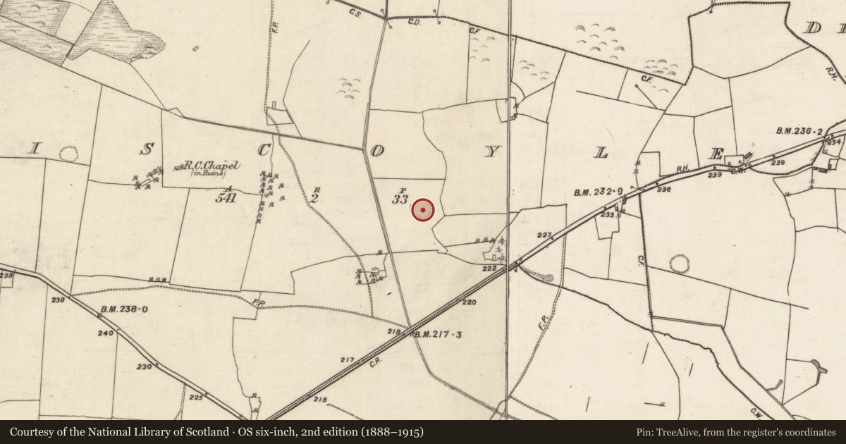 Ordnance Survey six-inch map, 2nd edition (1888–1915) covering the location of Ringfort - rath, Liscoyle, County Galway, with a pin at the register's coordinates
