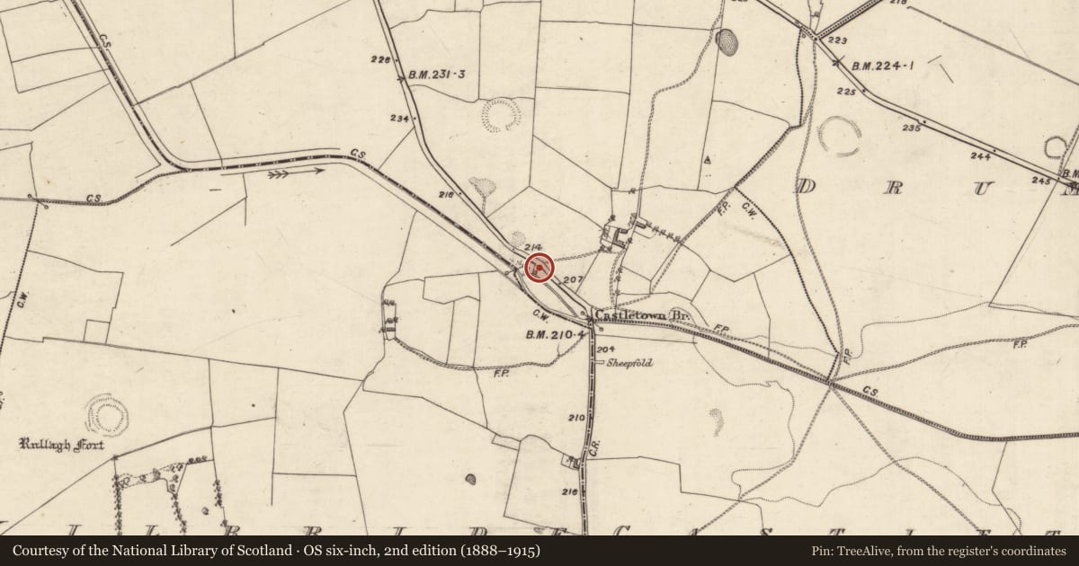 Ordnance Survey six-inch map, 2nd edition (1888–1915) covering the location of Mill - corn, Liscoyle, County Galway, with a pin at the register's coordinates