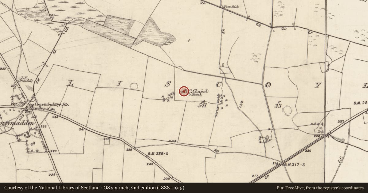 Ordnance Survey six-inch map, 2nd edition (1888–1915) covering the location of Chapel, Liscoyle, County Galway, with a pin at the register's coordinates