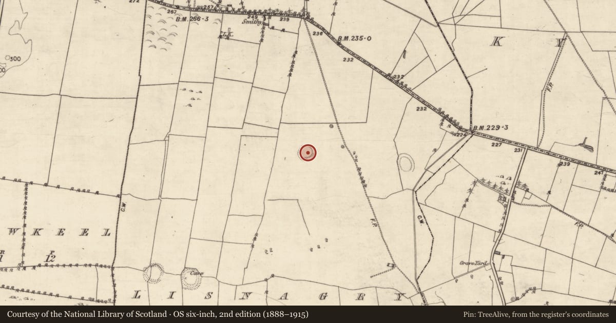 Ordnance Survey six-inch map, 2nd edition (1888–1915) covering the location of Ringfort - rath, Lisnagry, County Galway, with a pin at the register's coordinates