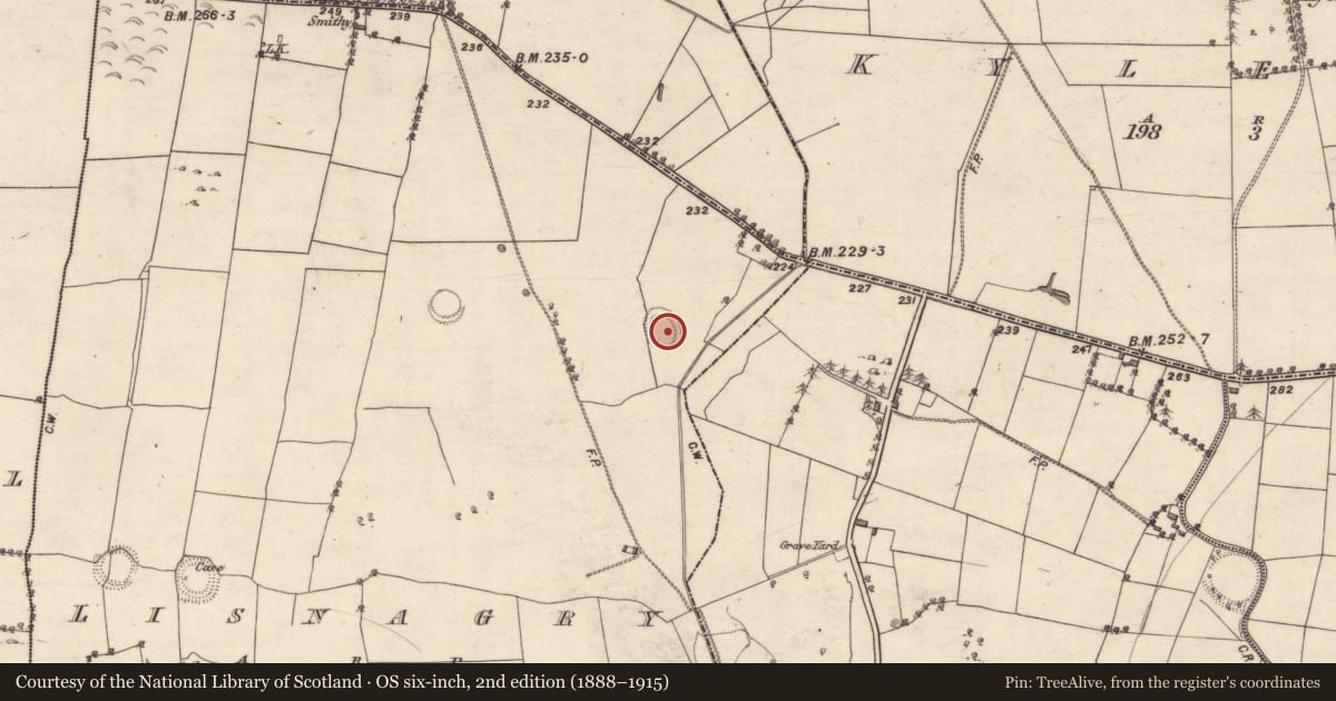 Ordnance Survey six-inch map, 2nd edition (1888–1915) covering the location of Souterrain, Lisnagry, County Galway, with a pin at the register's coordinates