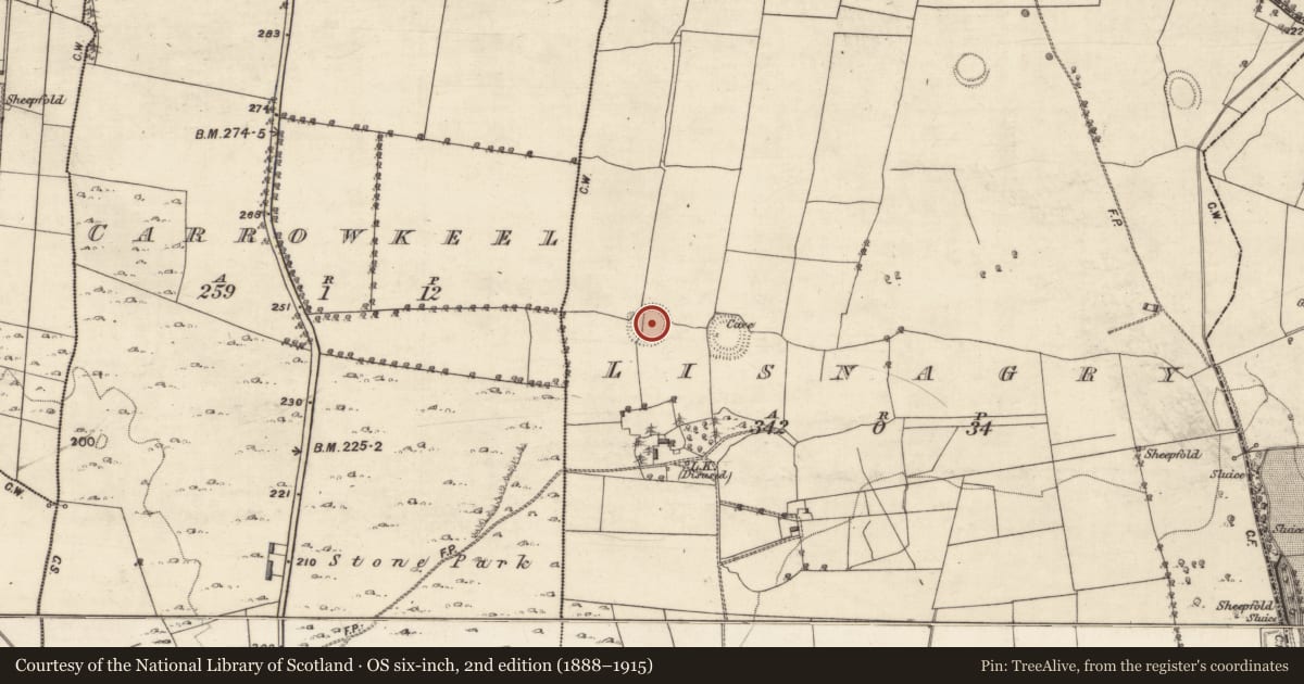 Ordnance Survey six-inch map, 2nd edition (1888–1915) covering the location of Ringfort - rath, Lisnagry, County Galway, with a pin at the register's coordinates