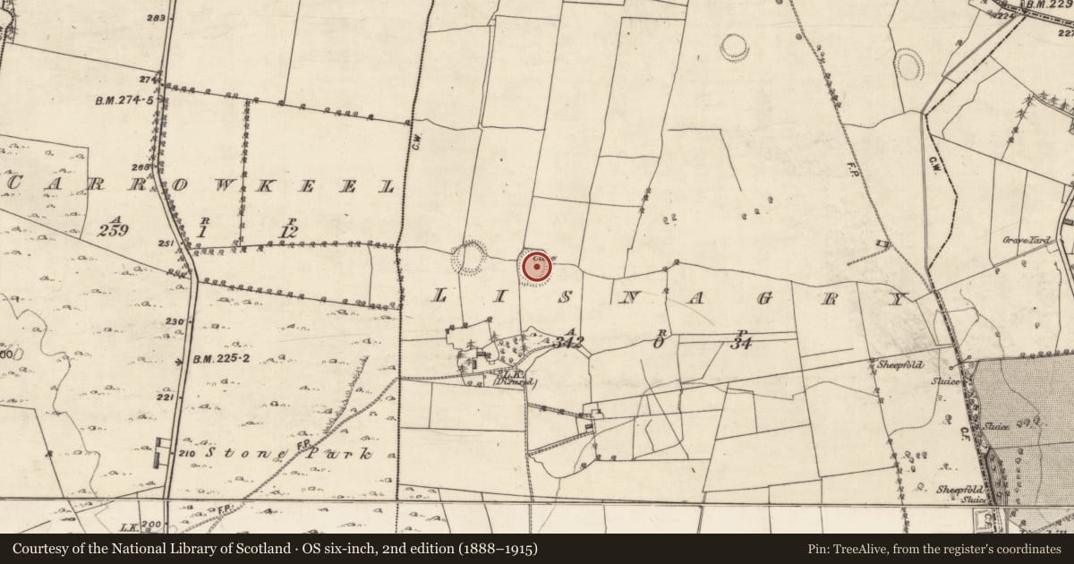 Ordnance Survey six-inch map, 2nd edition (1888–1915) covering the location of Ringfort - rath, Lisnagry, County Galway, with a pin at the register's coordinates