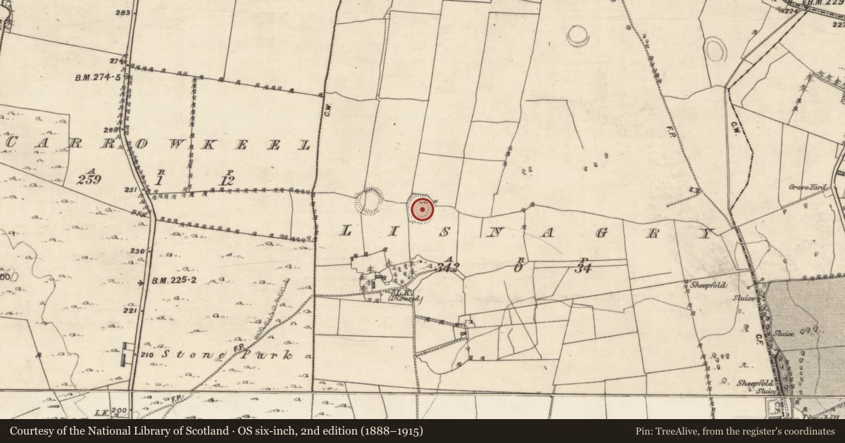 Ordnance Survey six-inch map, 2nd edition (1888–1915) covering the location of Souterrain, Lisnagry, County Galway, with a pin at the register's coordinates