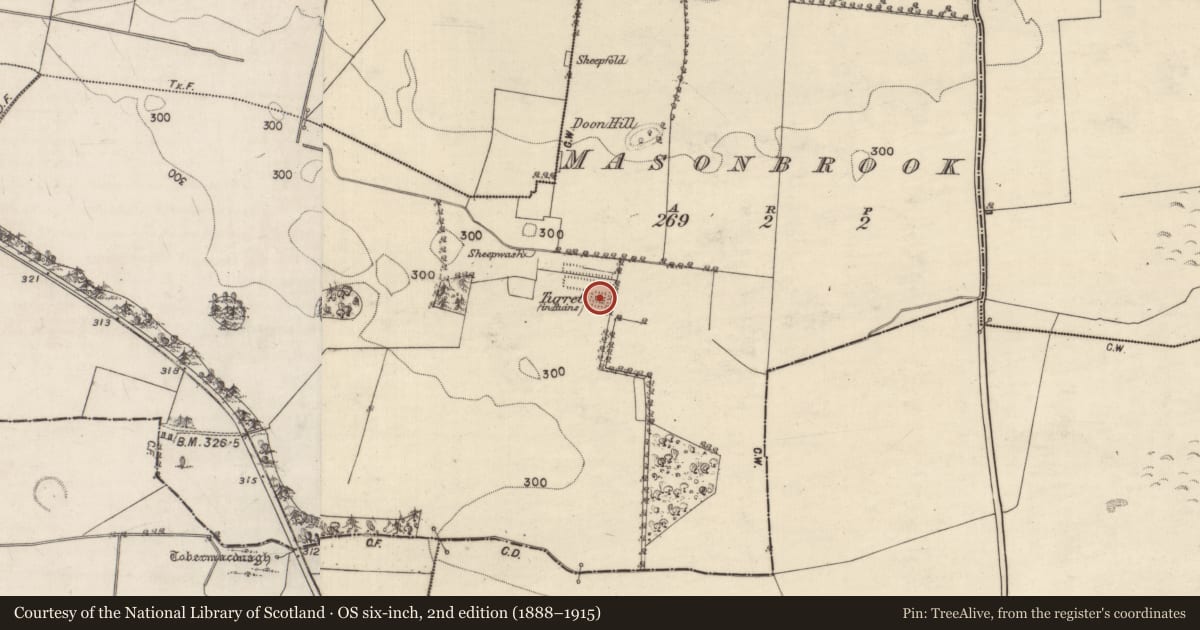 Ordnance Survey six-inch map, 2nd edition (1888–1915) covering the location of Earthwork, Masonbrook, County Galway, with a pin at the register's coordinates