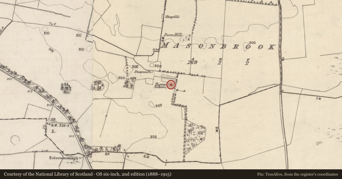 Ordnance Survey six-inch map, 2nd edition (1888–1915) covering the location of Designed landscape - folly, Masonbrook, County Galway, with a pin at the register's coordinates