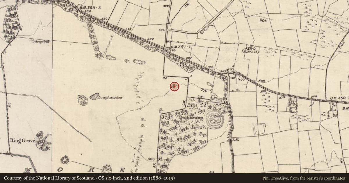 Ordnance Survey six-inch map, 2nd edition (1888–1915) covering the location of Designed landscape feature, Moanmore, County Galway, with a pin at the register's coordinates