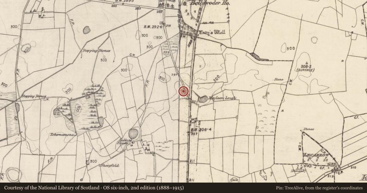 Ordnance Survey six-inch map, 2nd edition (1888–1915) covering the location of Quarry, Moyleen, County Galway, with a pin at the register's coordinates