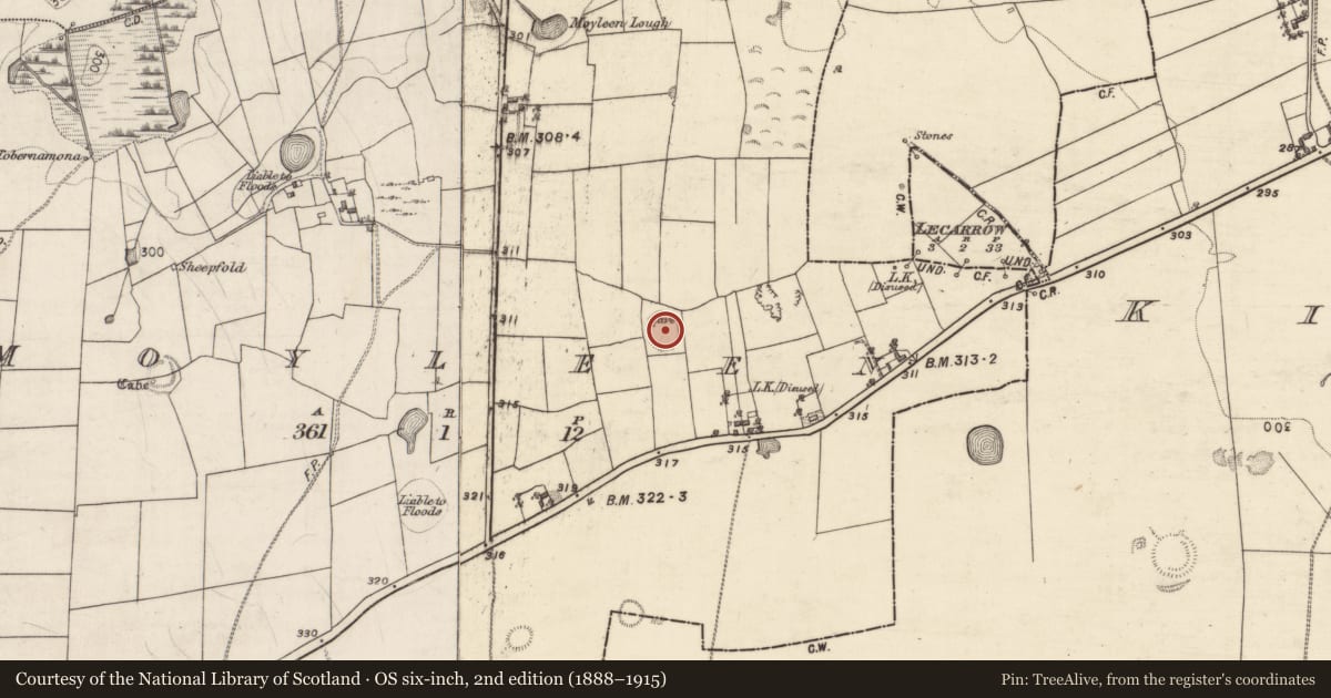 Ordnance Survey six-inch map, 2nd edition (1888–1915) covering the location of Souterrain, Moyleen, County Galway, with a pin at the register's coordinates