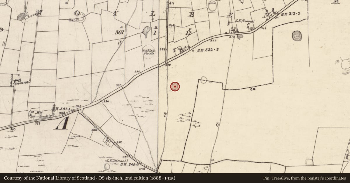 Ordnance Survey six-inch map, 2nd edition (1888–1915) covering the location of Ringfort - rath, Moyleen, County Galway, with a pin at the register's coordinates