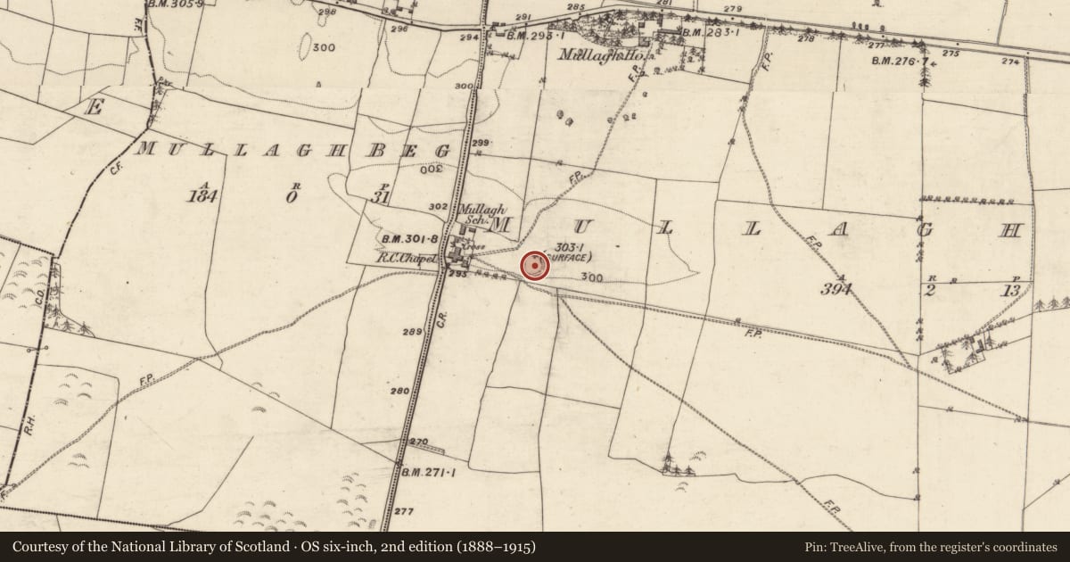 Ordnance Survey six-inch map, 2nd edition (1888–1915) covering the location of Ringfort - rath, Mullagh More, County Galway, with a pin at the register's coordinates