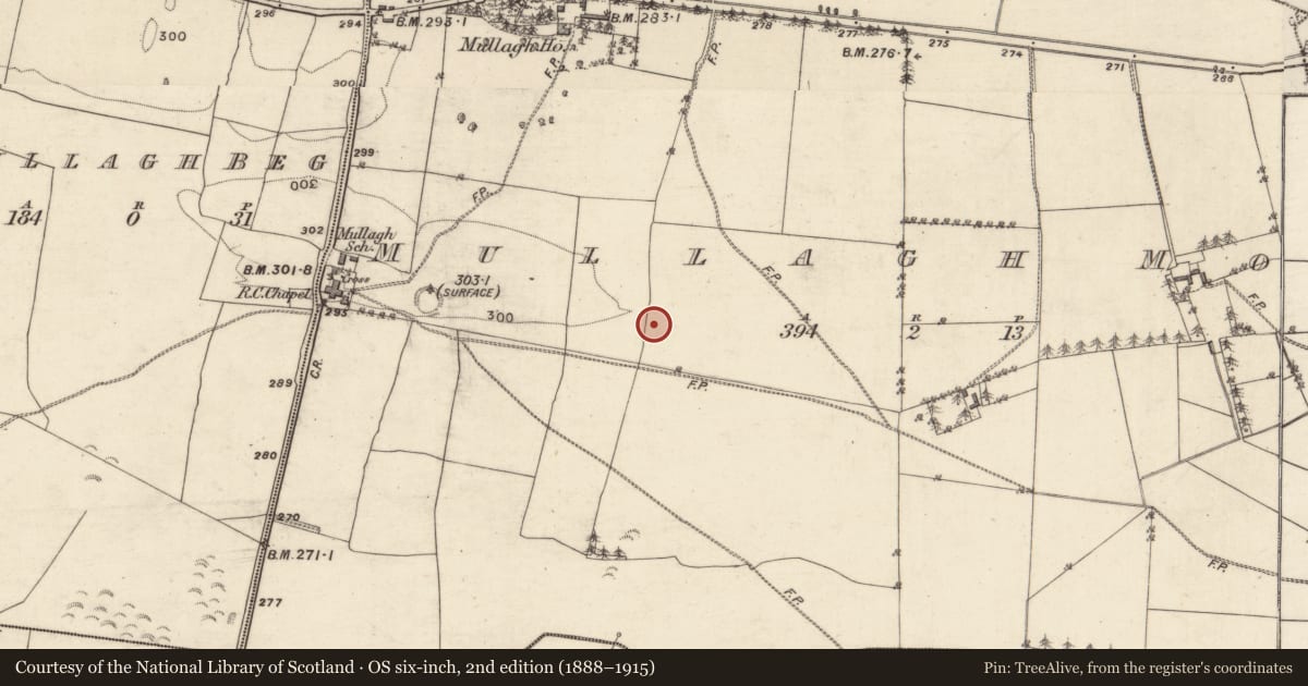 Ordnance Survey six-inch map, 2nd edition (1888–1915) covering the location of Children's burial ground, Mullagh More, County Galway, with a pin at the register's coordinates