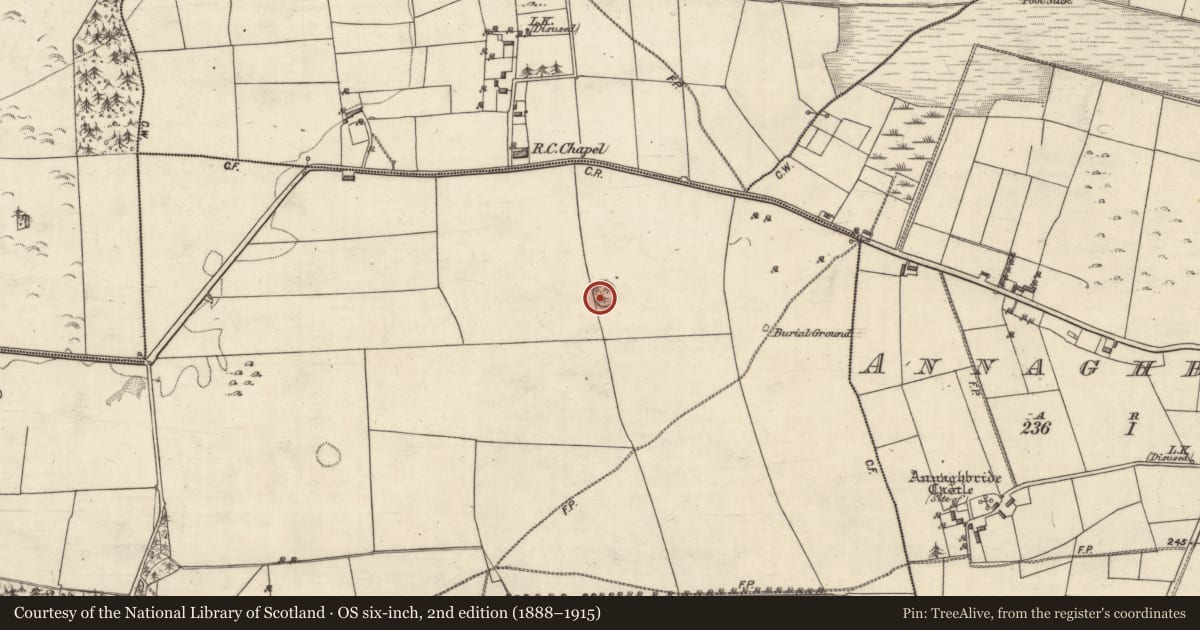 Ordnance Survey six-inch map, 2nd edition (1888–1915) covering the location of Ringfort - rath, Rafarn, County Galway, with a pin at the register's coordinates