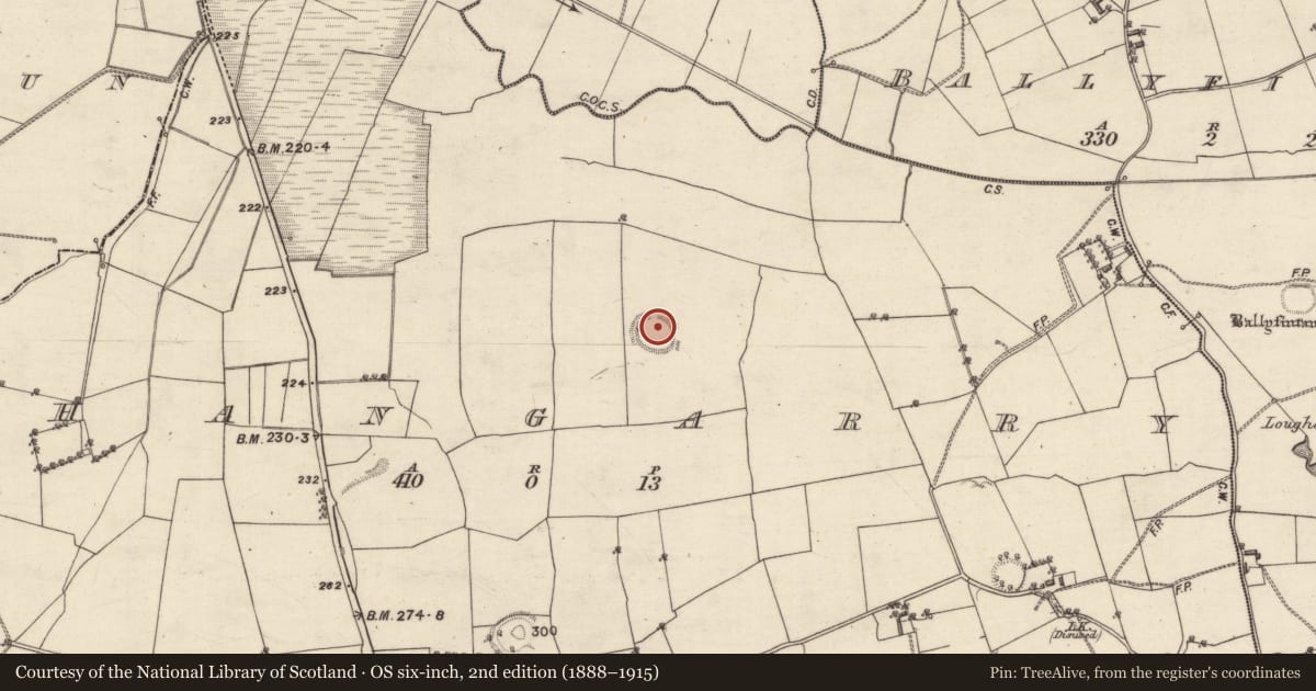 Ordnance Survey six-inch map, 2nd edition (1888–1915) covering the location of Ringfort - rath, Shangarry, County Galway, with a pin at the register's coordinates