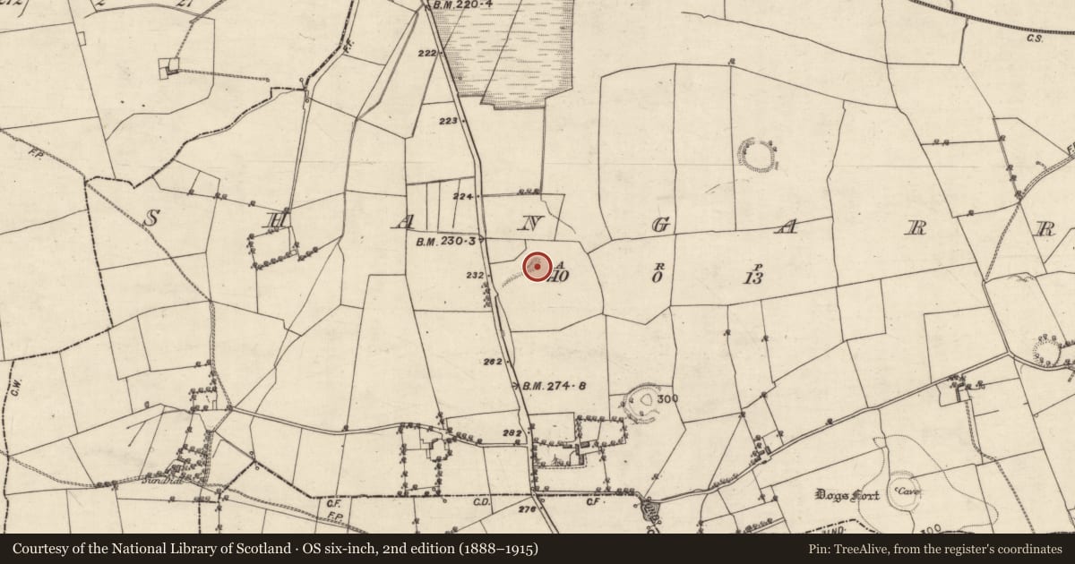 Ordnance Survey six-inch map, 2nd edition (1888–1915) covering the location of Quarry, Shangarry, County Galway, with a pin at the register's coordinates
