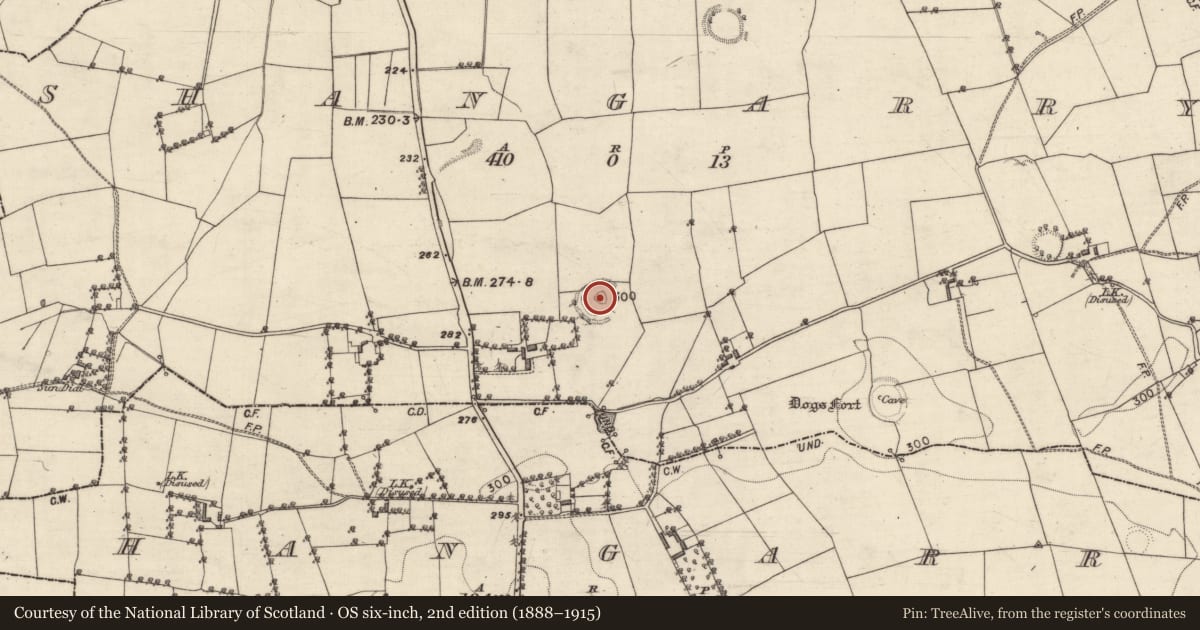 Ordnance Survey six-inch map, 2nd edition (1888–1915) covering the location of Souterrain, Shangarry, County Galway, with a pin at the register's coordinates