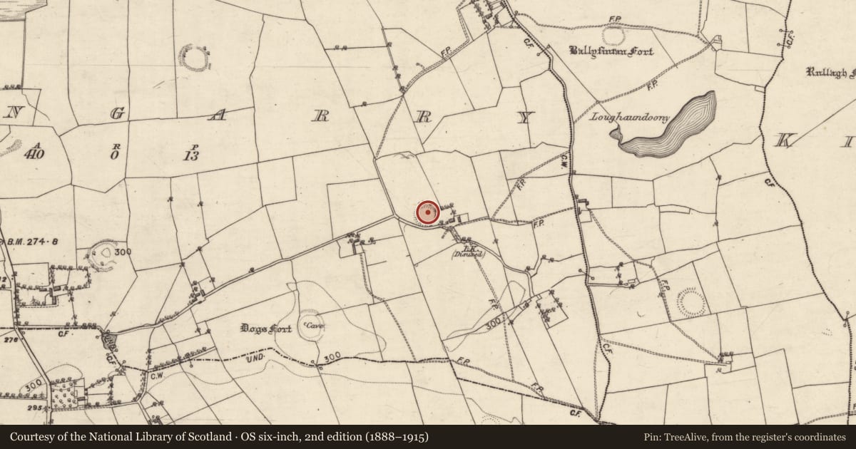 Ordnance Survey six-inch map, 2nd edition (1888–1915) covering the location of Ringfort - rath, Shangarry, County Galway, with a pin at the register's coordinates