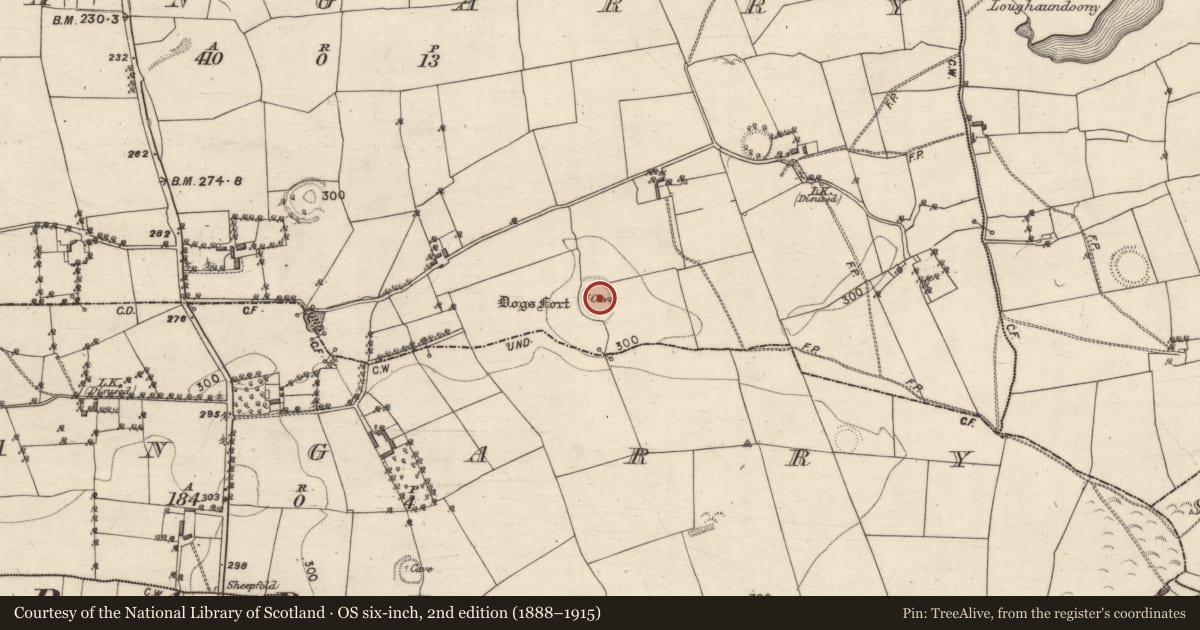 Ordnance Survey six-inch map, 2nd edition (1888–1915) covering the location of Ringfort - rath, Shangarry, County Galway, with a pin at the register's coordinates