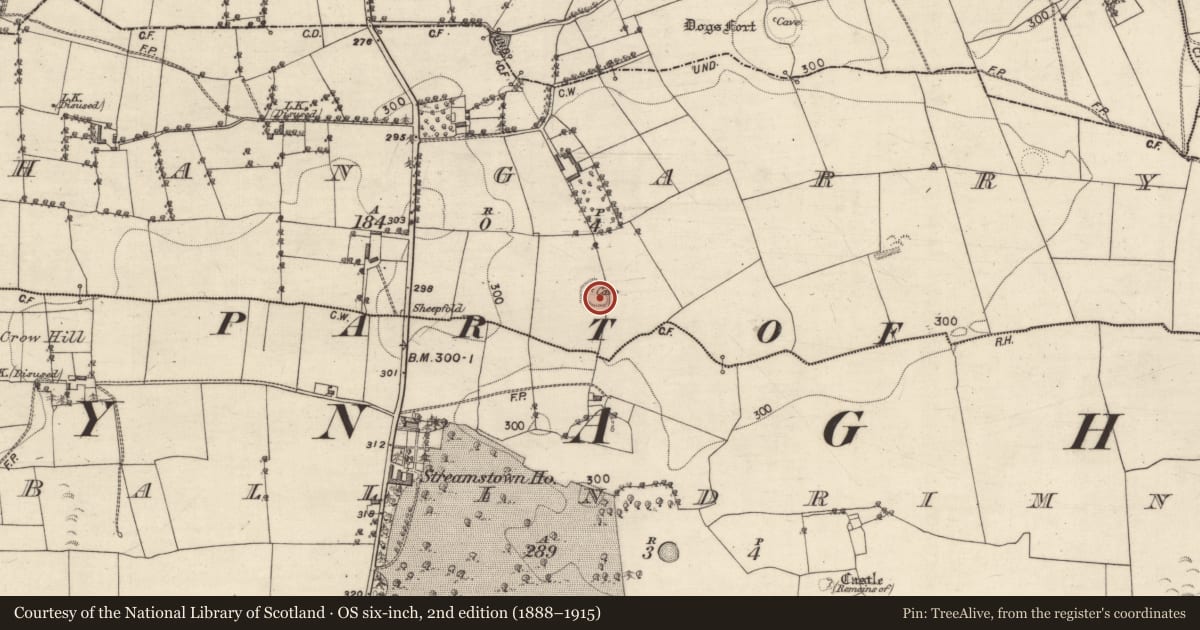 Ordnance Survey six-inch map, 2nd edition (1888–1915) covering the location of Ringfort - rath, Shangarry, County Galway, with a pin at the register's coordinates