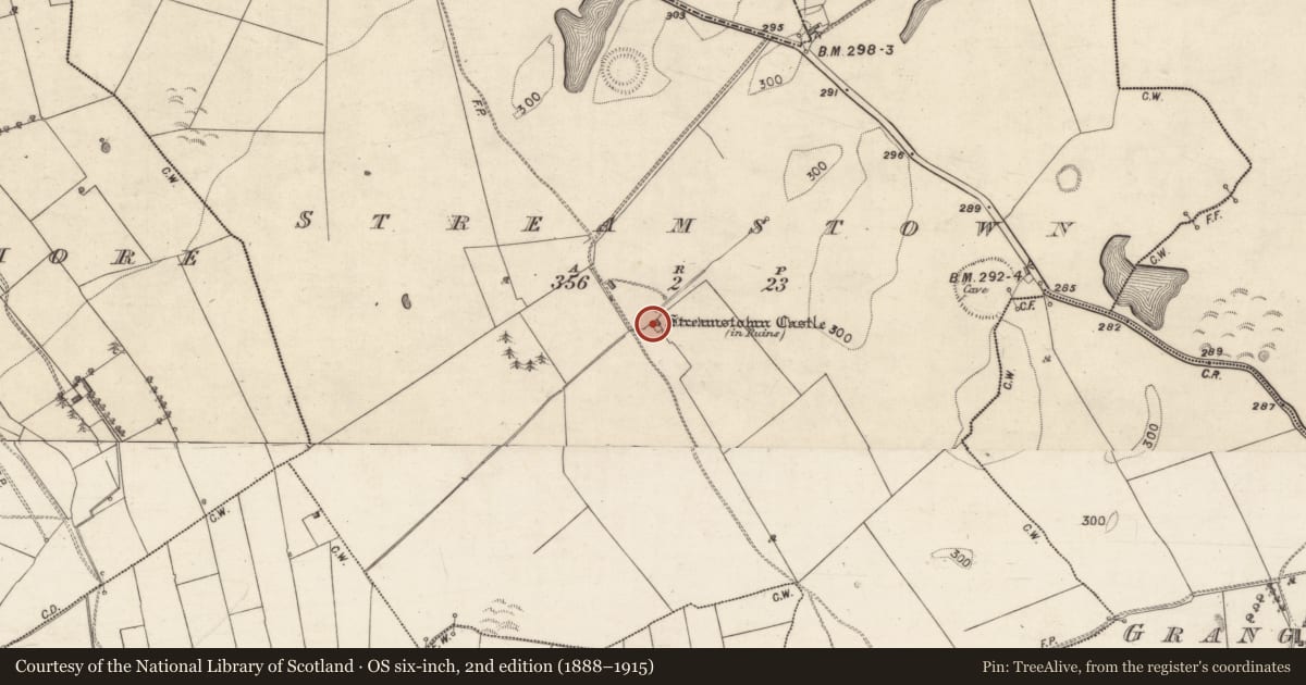 Ordnance Survey six-inch map, 2nd edition (1888–1915) covering the location of Castle - unclassified, Streamstown, County Galway, with a pin at the register's coordinates