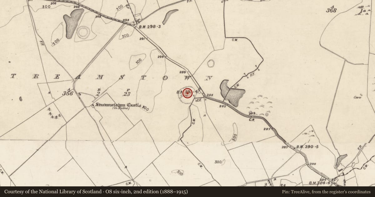 Ordnance Survey six-inch map, 2nd edition (1888–1915) covering the location of Ringfort - rath, Streamstown, County Galway, with a pin at the register's coordinates