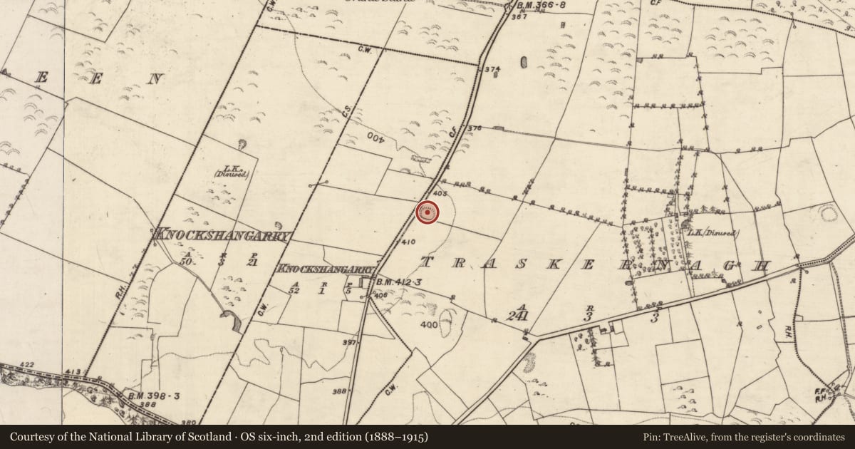 Ordnance Survey six-inch map, 2nd edition (1888–1915) covering the location of Ringfort - rath, Traskernagh, County Galway, with a pin at the register's coordinates