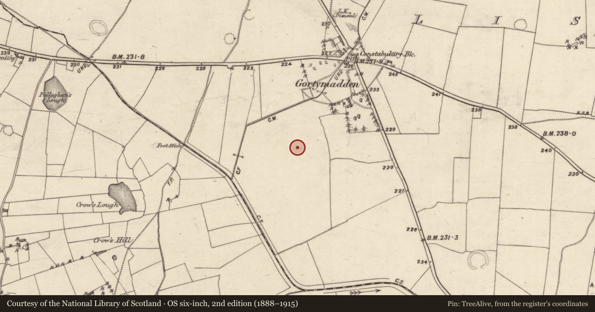 Ordnance Survey six-inch map, 2nd edition (1888–1915) covering the location of Ringfort - rath, Liscoyle, County Galway, with a pin at the register's coordinates