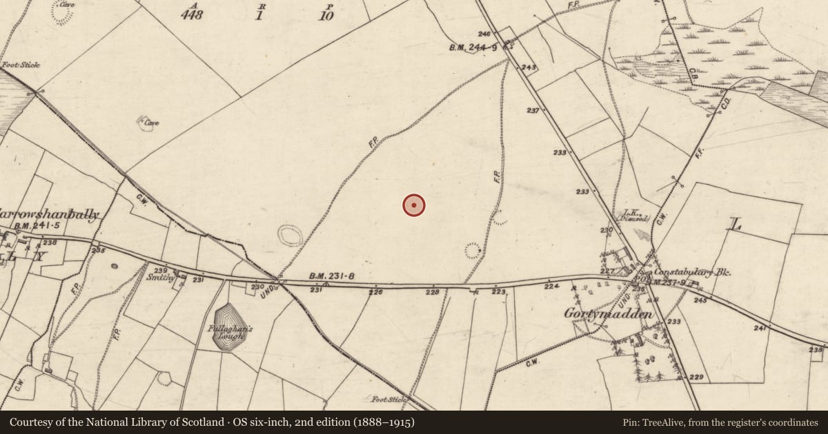 Ordnance Survey six-inch map, 2nd edition (1888–1915) covering the location of Enclosure, Gortymadden, County Galway, with a pin at the register's coordinates
