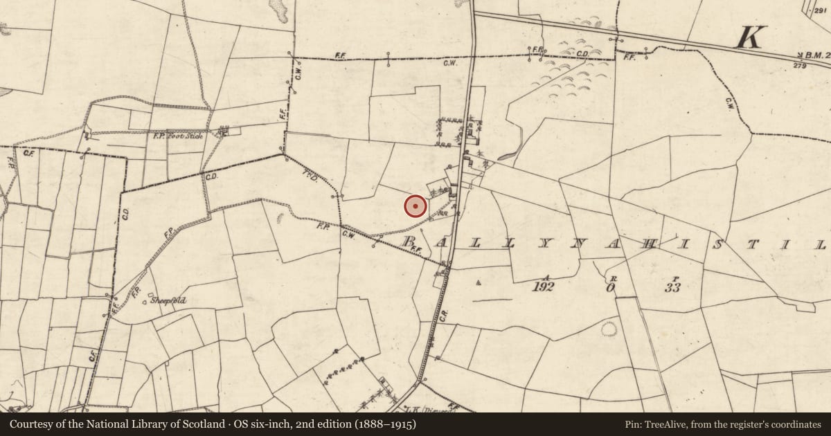 Ordnance Survey six-inch map, 2nd edition (1888–1915) covering the location of Souterrain, Ballynahistil, County Galway, with a pin at the register's coordinates