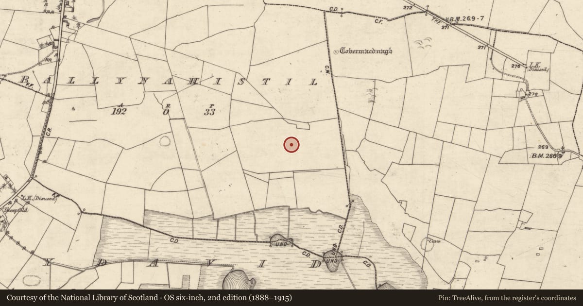 Ordnance Survey six-inch map, 2nd edition (1888–1915) covering the location of Field system, Ballynahistil, County Galway, with a pin at the register's coordinates