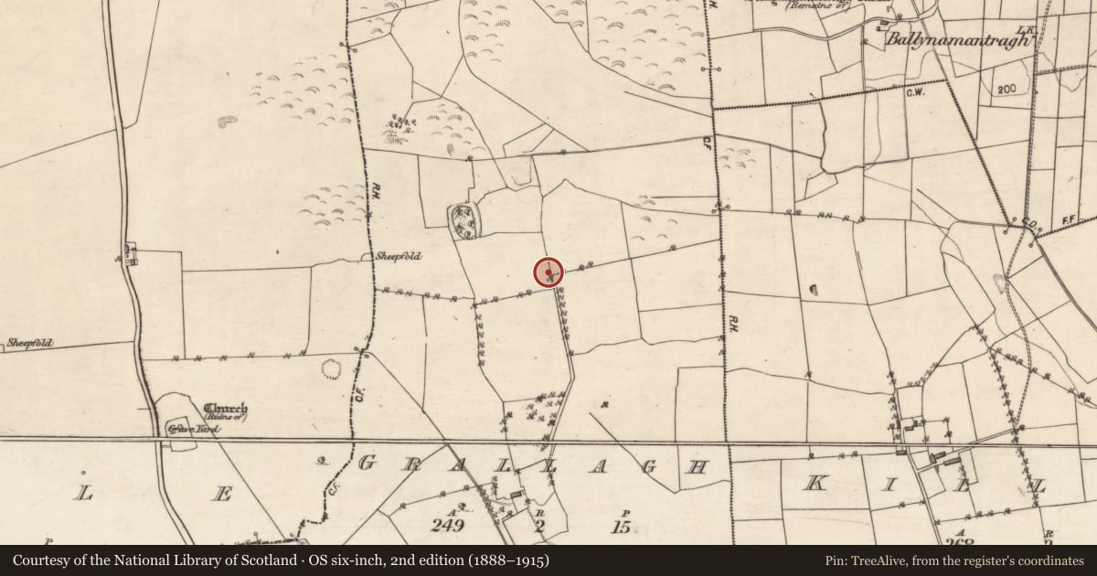 Ordnance Survey six-inch map, 2nd edition (1888–1915) covering the location of Souterrain, Grallagh, County Galway, with a pin at the register's coordinates