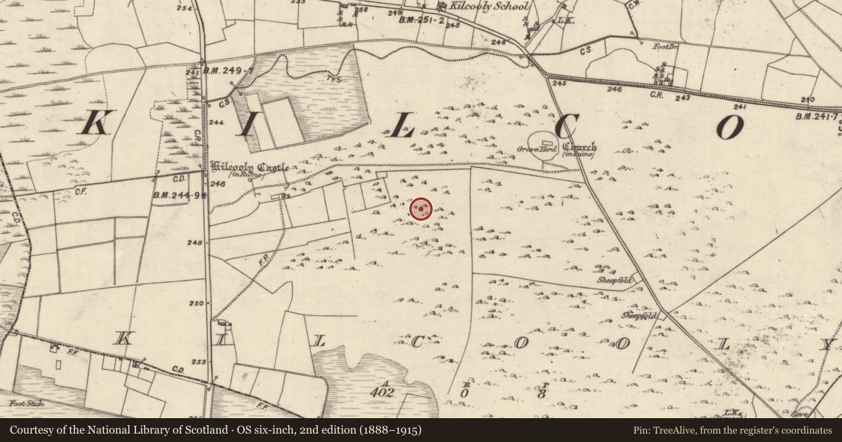 Ordnance Survey six-inch map, 2nd edition (1888–1915) covering the location of Enclosure, Kilcooly, County Galway, with a pin at the register's coordinates