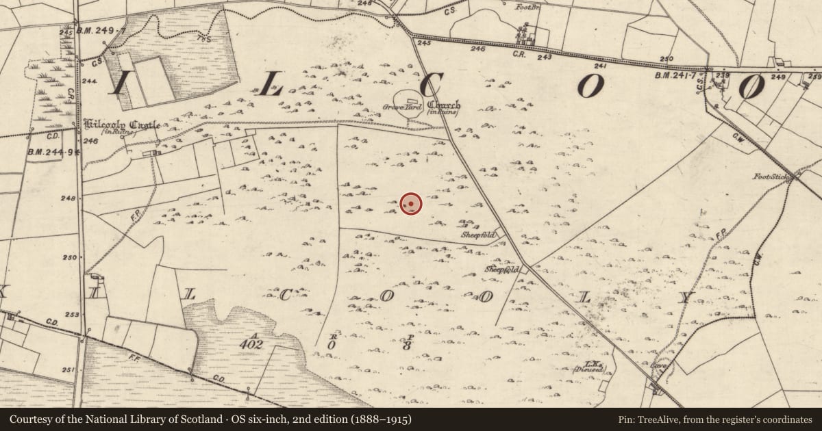 Ordnance Survey six-inch map, 2nd edition (1888–1915) covering the location of Field system, Kilcooly, County Galway, with a pin at the register's coordinates