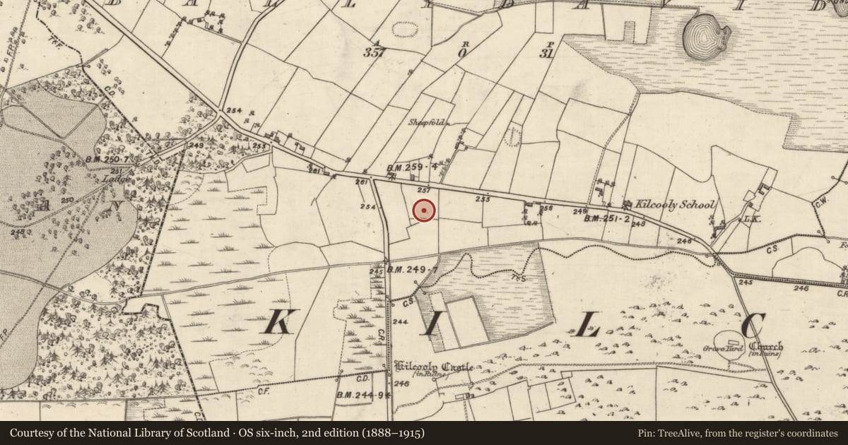 Ordnance Survey six-inch map, 2nd edition (1888–1915) covering the location of Battlefield, Ballydavid, County Galway, with a pin at the register's coordinates